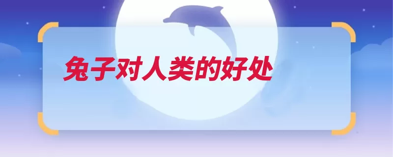 兔子对人类的好处（关系兔子人类眼里）