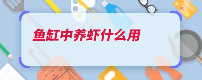 鱼缸中养虾什么用（鱼缸食料很高实力）