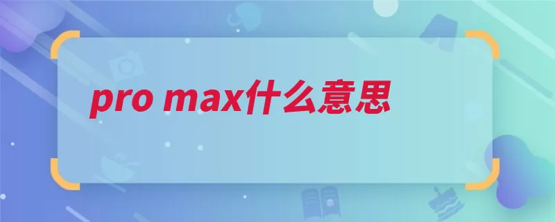 pro max什么意思