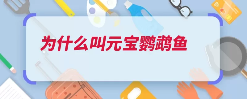 为什么叫元宝鹦鹉鱼
