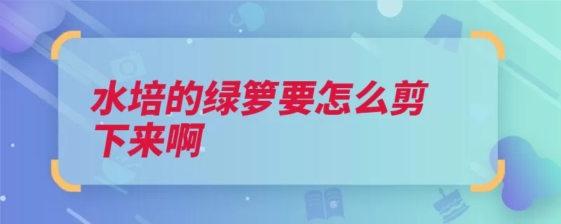 水培的绿箩要怎么剪下来啊（水培放在气根剪下）