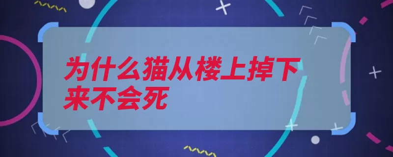 为什么猫从楼上掉下来不会死