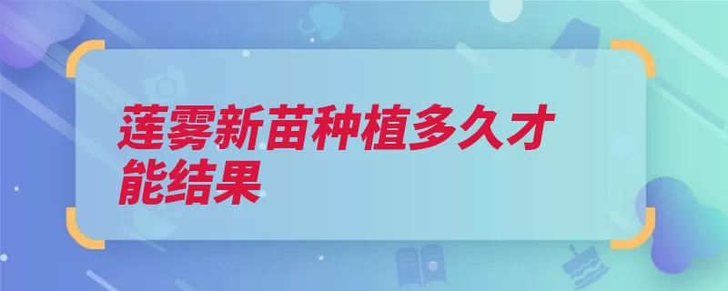 莲雾新苗种植多久才能结果（莲雾新苗果实花蕊）