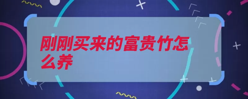 刚刚买来的富贵竹怎么养（放在富贵竹绿叶常）