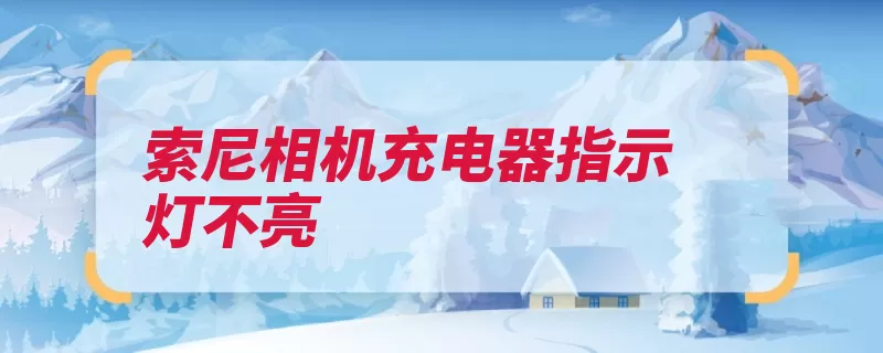 索尼相机充电器指示灯不亮（索尼照相机充电器）