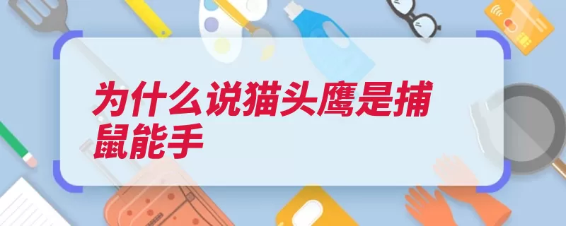 为什么说猫头鹰是捕鼠能手