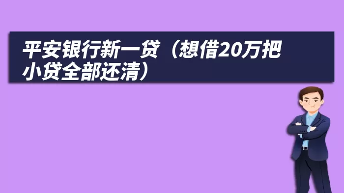 平安银行新一贷（想借20万把小贷全部还清）