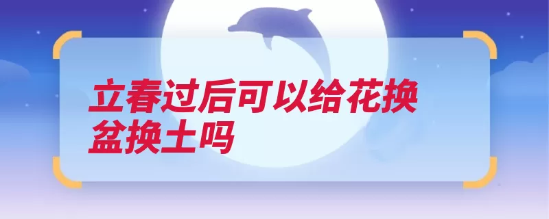 立春过后可以给花换盆换土吗