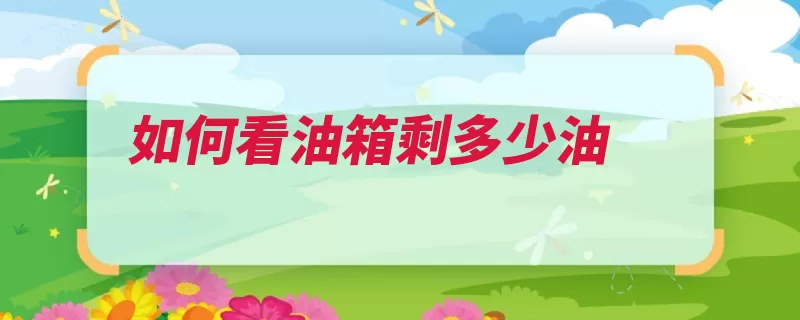 如何看油箱剩多少油