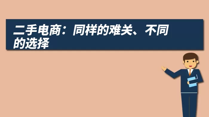 二手电商：同样的难关、不同的选择