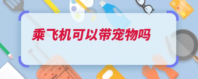 乘飞机可以带宠物吗（宠物旅客容器小动）
