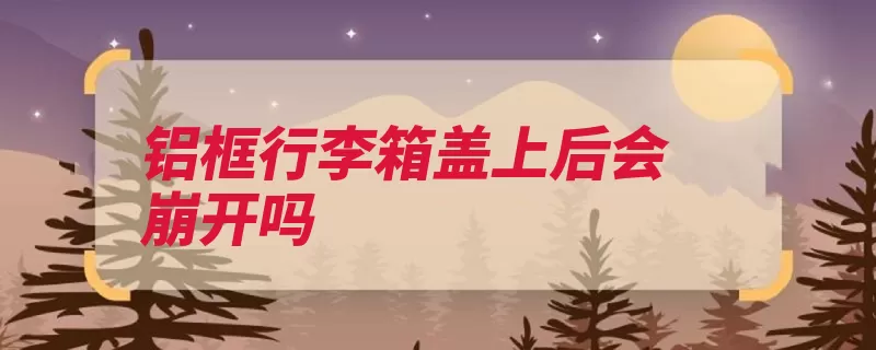 铝框行李箱盖上后会崩开吗