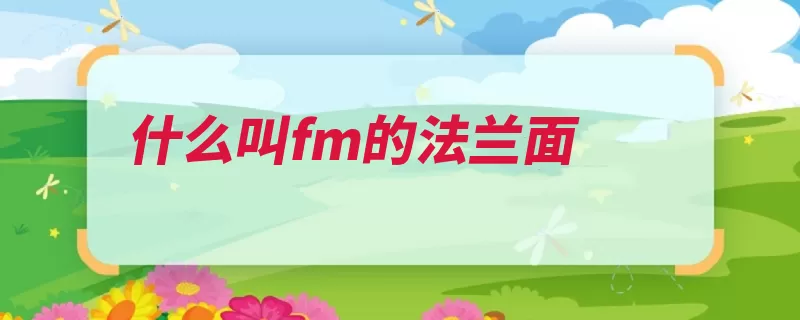 什么叫fm的法兰面