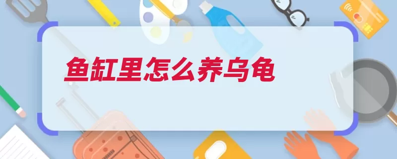 鱼缸里怎么养乌龟（鱼缸乌龟水质晒太）