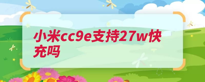 小米cc9e支持27w快充吗（小米的是该机留了）