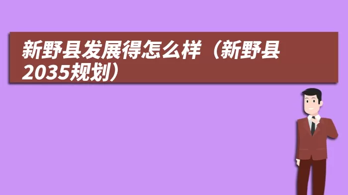 新野县发展得怎么样（新野县2035规划）