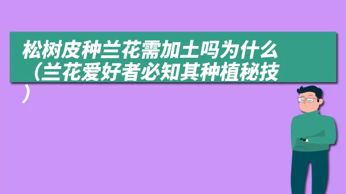 松树皮种兰花需加土吗为什么（兰花爱好者必知其种植秘技）