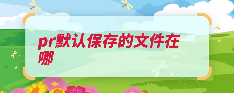 pr默认保存的文件在哪