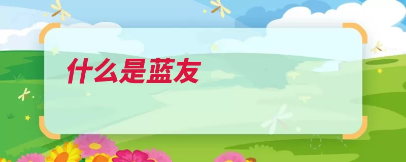 什么是蓝友