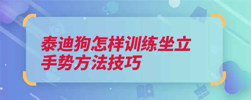 泰迪狗怎样训练坐立手势方法技巧（训练主人口令手势）