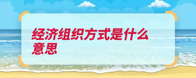 经济组织方式是什么意思