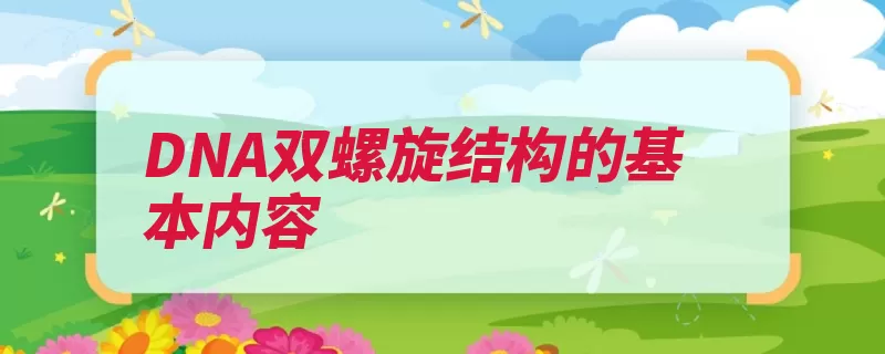 DNA双螺旋结构的基本内容