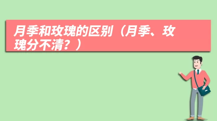 月季和玫瑰的区别（月季、玫瑰分不清？）