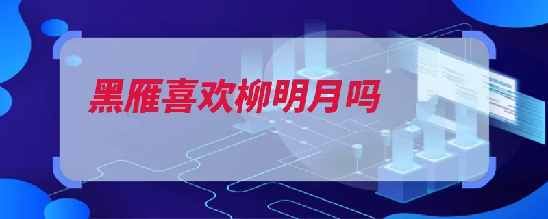 黑雁喜欢柳明月吗