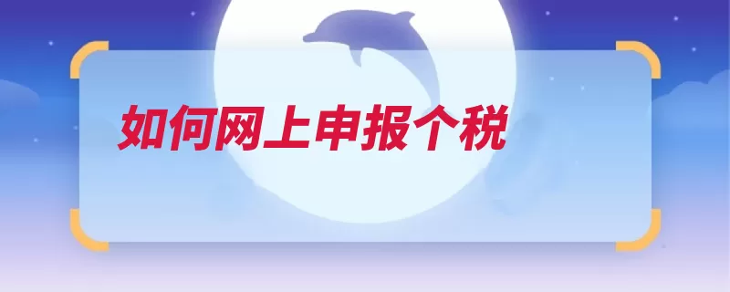 如何网上申报个税