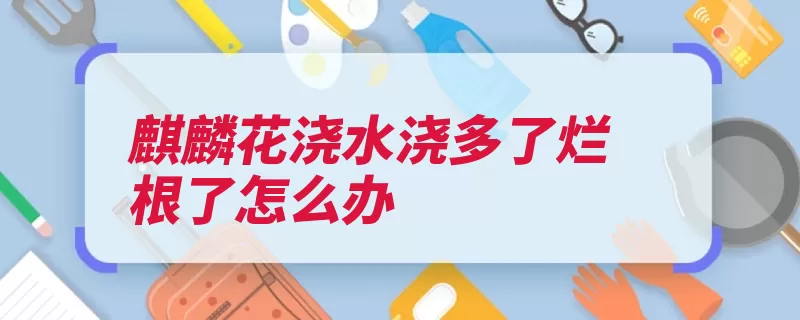 麒麟花浇水浇多了烂根了怎么办