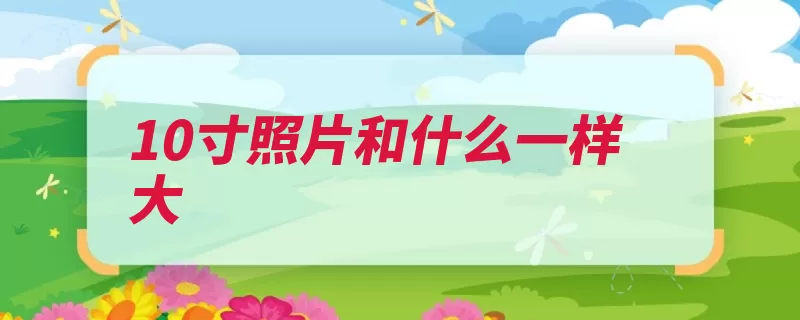 10寸照片和什么一样大