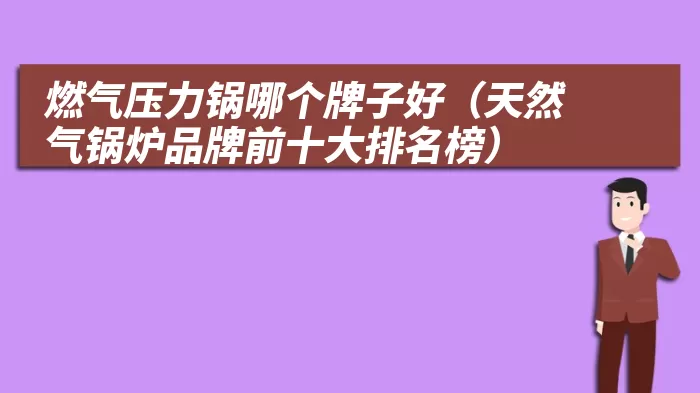 燃气压力锅哪个牌子好（天然气锅炉品牌前十大排名榜）