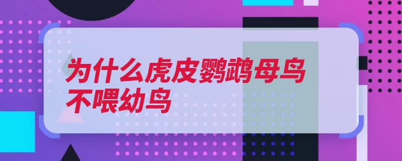为什么虎皮鹦鹉母鸟不喂幼鸟