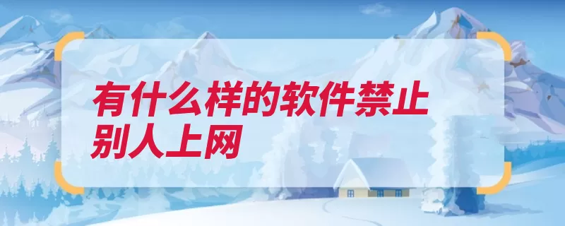 有什么样的软件禁止别人上网