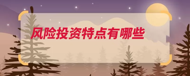 风险投资特点有哪些