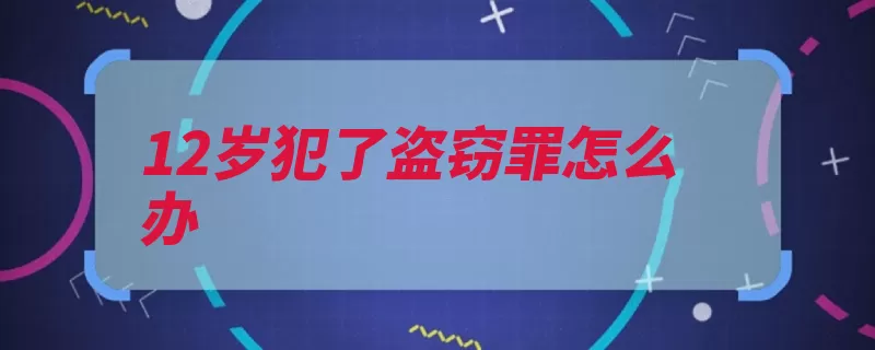 12岁犯了盗窃罪怎么办