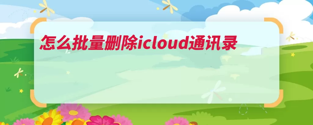 怎么批量删除icloud通讯录（通讯录删除打开图）