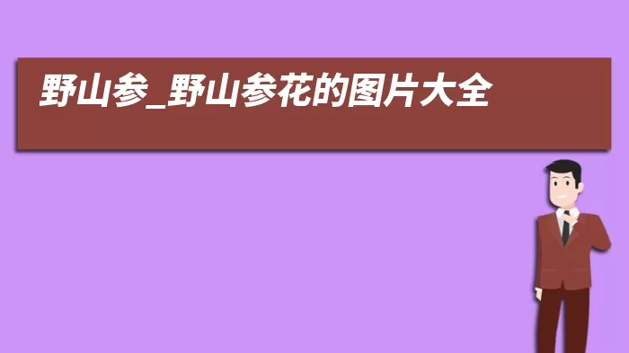 野山参_野山参花的图片大全