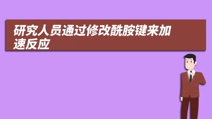 研究人员通过修改酰胺键来加速反应