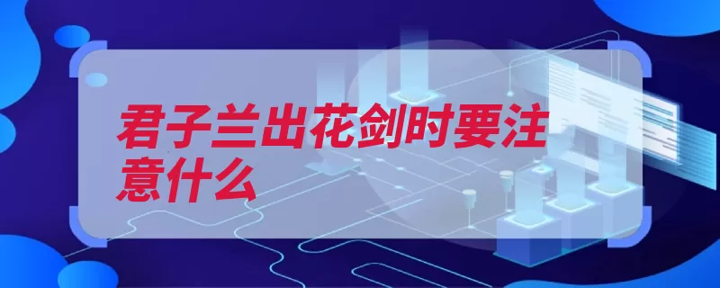 君子兰出花剑时要注意什么