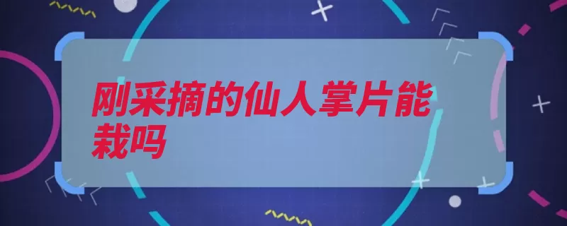 刚采摘的仙人掌片能栽吗