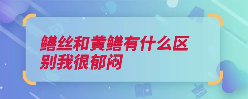 鳝丝和黄鳝有什么区别我很郁闷