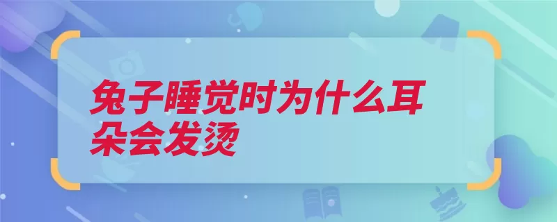 兔子睡觉时为什么耳朵会发烫