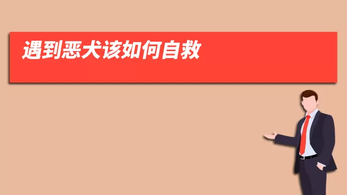 遇到恶犬该如何自救