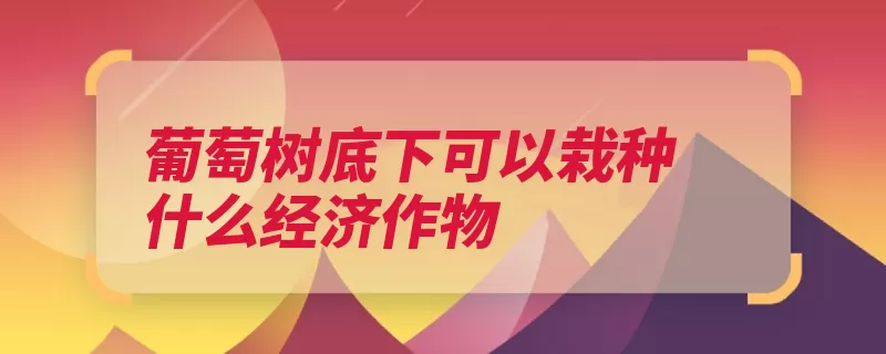 葡萄树底下可以栽种什么经济作物（草莓定植葡萄栽种）