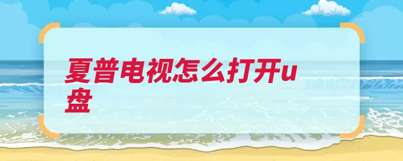 夏普电视怎么打开u盘