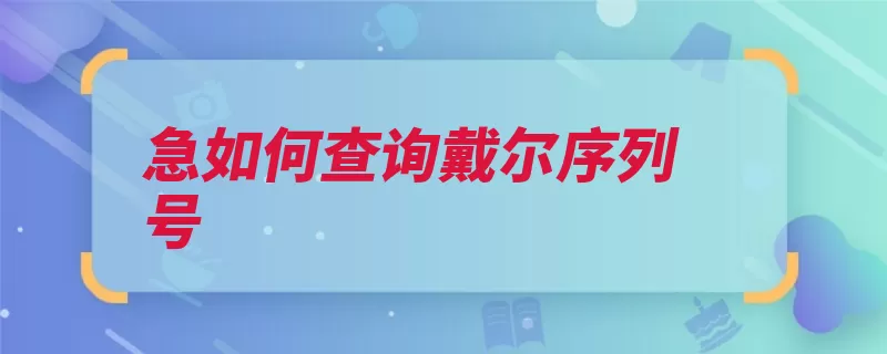 急如何查询戴尔序列号（序列号电脑可以查）