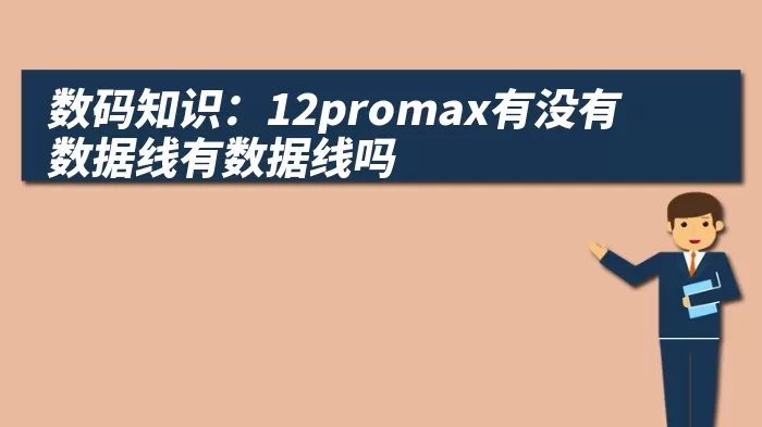 数码知识：12promax有没有数据线有数据线吗