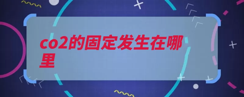 co2的固定发生在哪里（叶绿体基质二氧化）