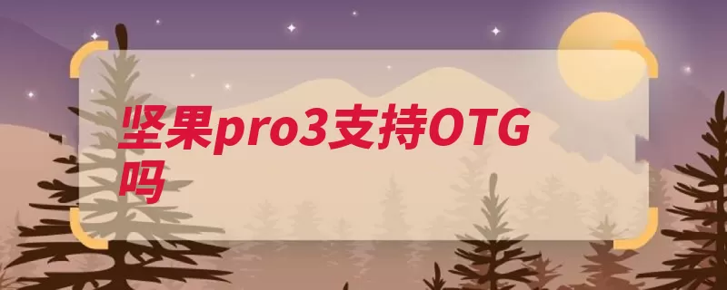 坚果pro3支持OTG吗